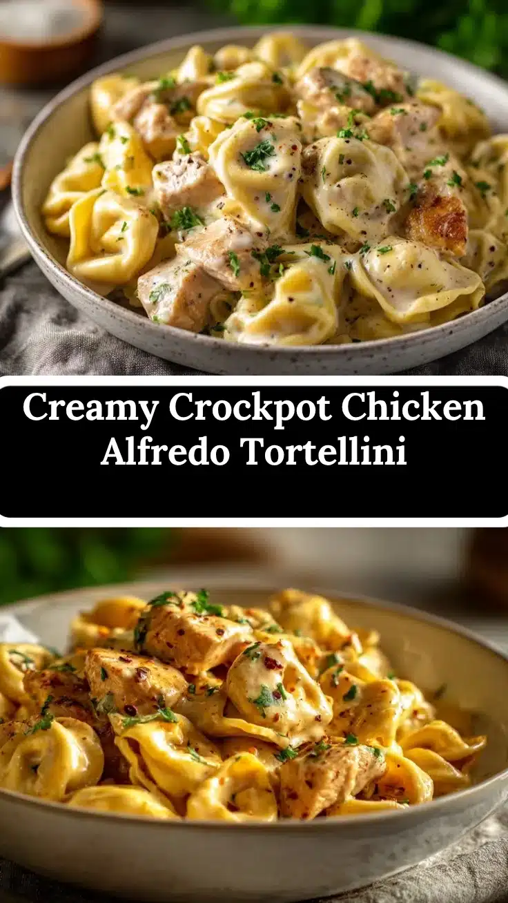 Crockpot Chicken Alfredo Tortellini recipe