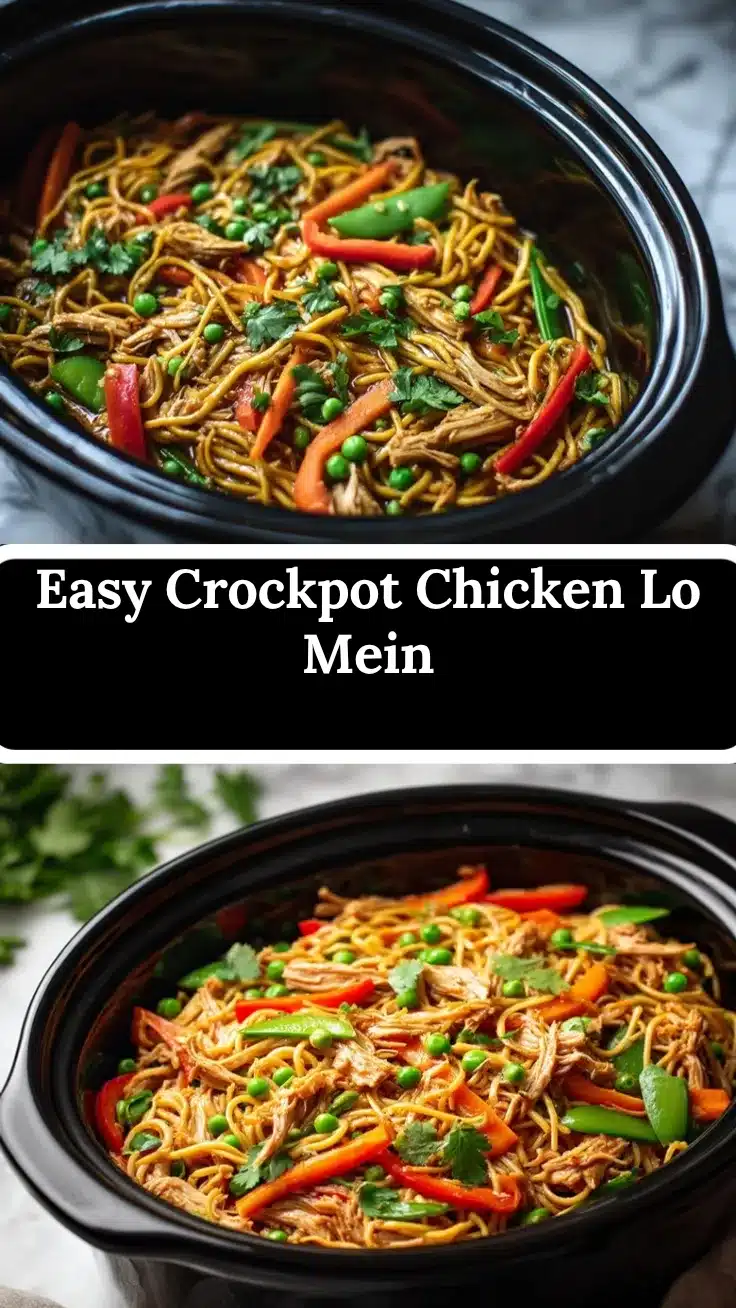 Crockpot Chicken Lo Mein recipe