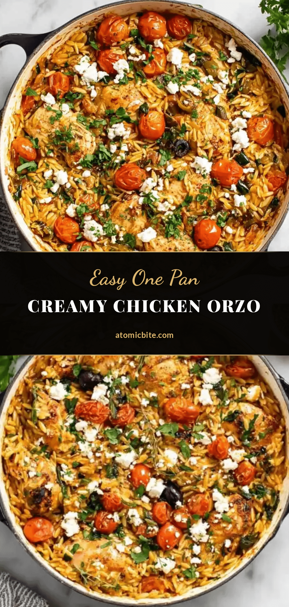 easy one pan chicken orzo recipe