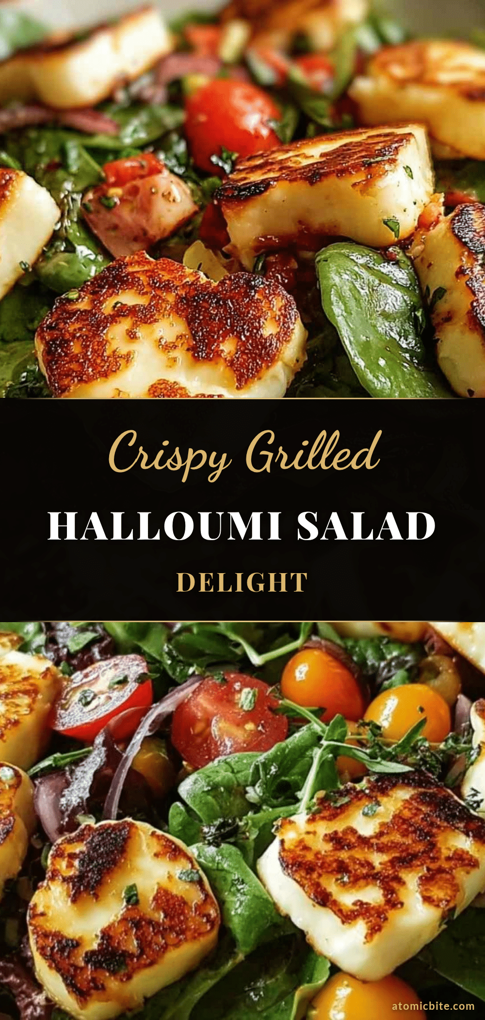 fresh grilled halloumi salad recipe