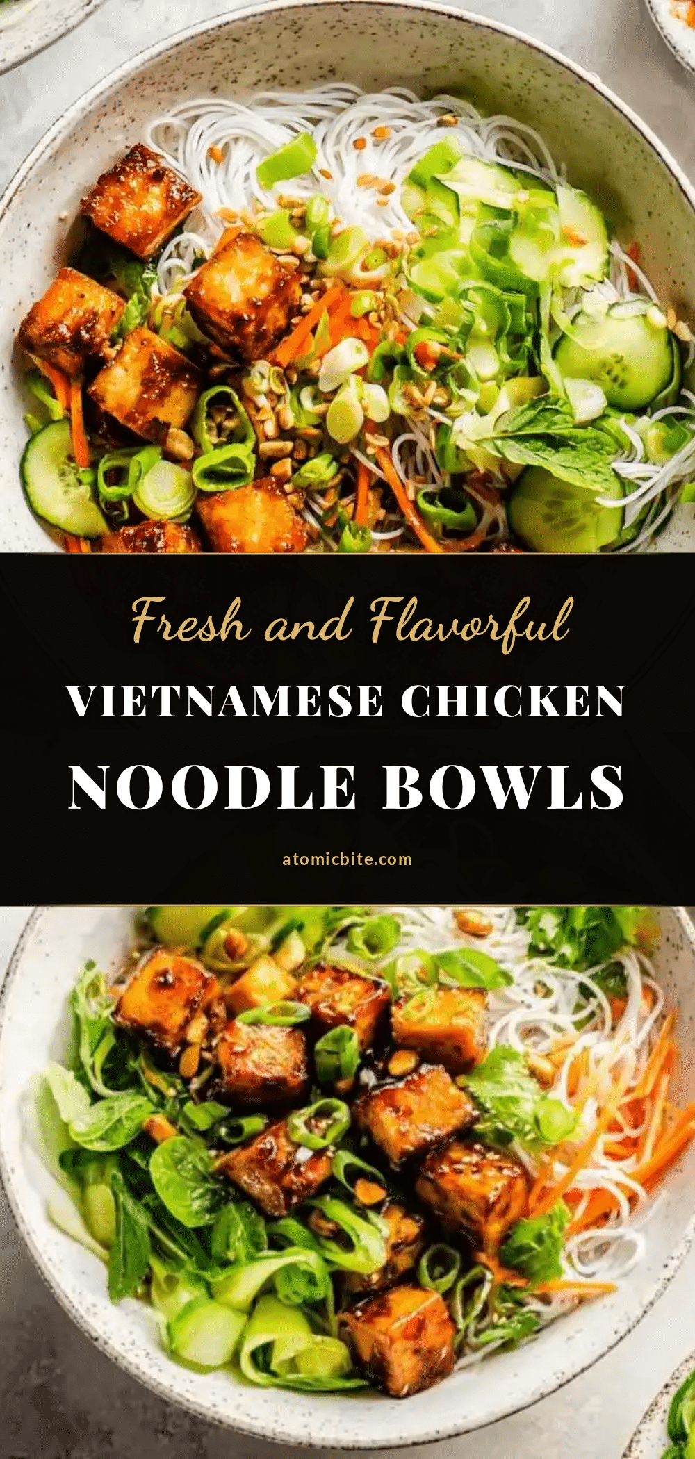 Vietnamese Chicken Noodle Bowls recipe