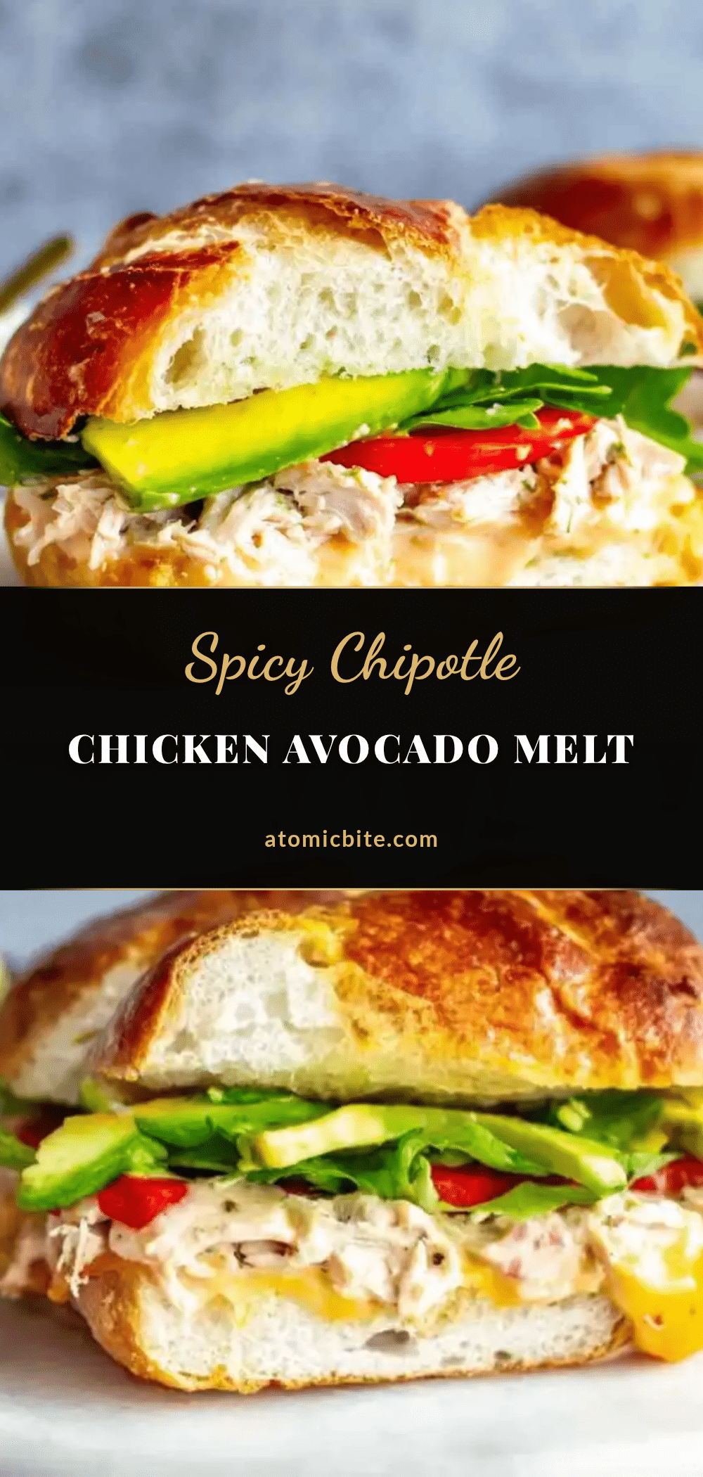 chipotle chicken avocado melt sandwich recipe